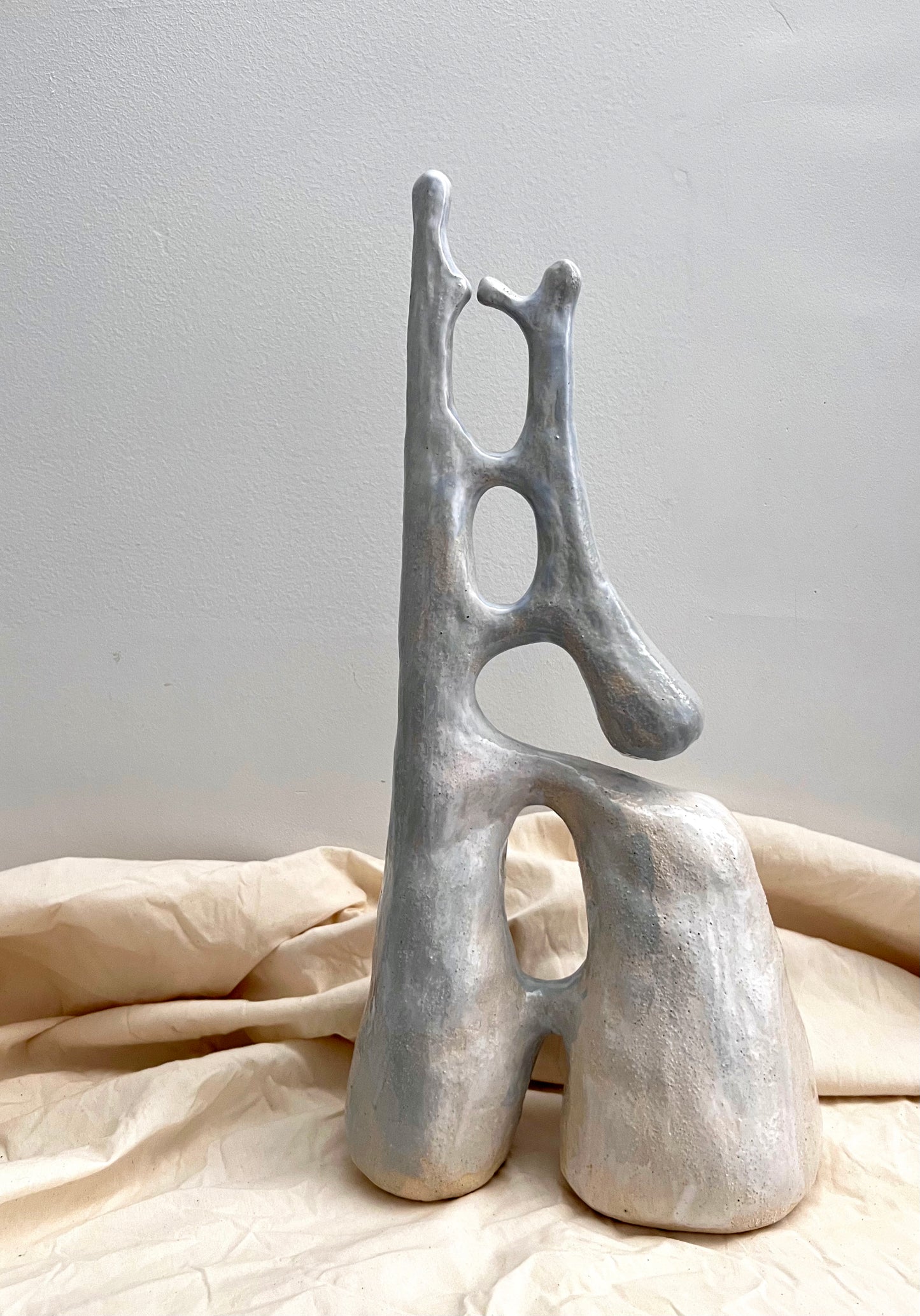 Biomorph 010: Ladder Sculpture